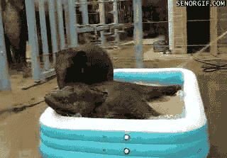 http://partageetsignature.p.a.pic.centerblog.net/44651c89.gif