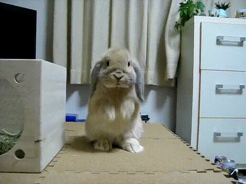 http://partageetsignature.p.a.pic.centerblog.net/6df16681.gif