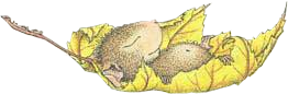 f6b9463a.png